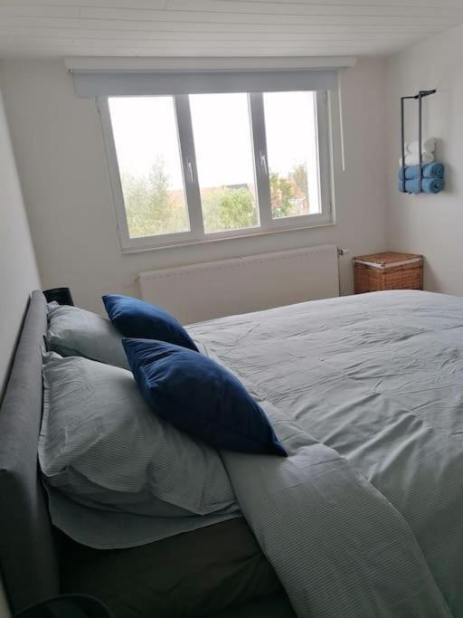 Apartamento L'Abri En Orange Sint-Niklaas Exterior foto